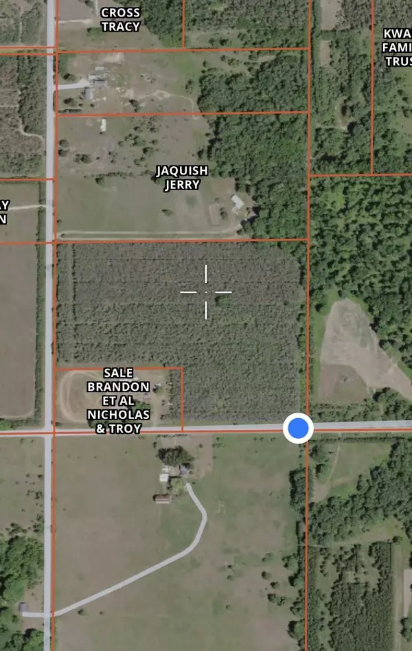 Parcel 'A' N Thornapple Avenue, White Cloud, MI 49349