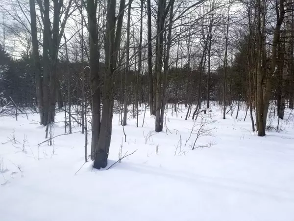 West Olive, MI 49460,Parcel D Stanton Street