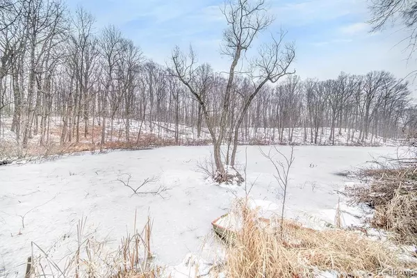 Novi, MI 48377,28780 SUMMIT Drive