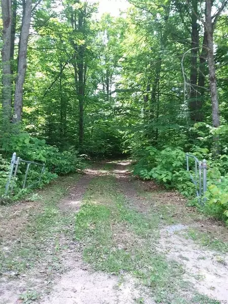 6161 W Twin Peaks Road, Frederic, MI 49733