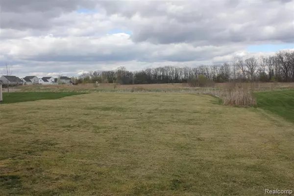 Linden, MI 48451,13119 RIVER ROCK PASS