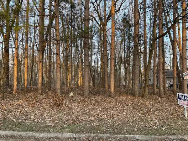 Linden, MI 48451,9127 Pineview Lake