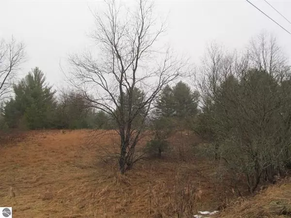 30 Acres Woodman Road, South Boardman, MI 49680