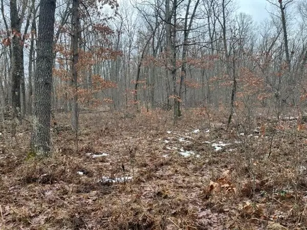 Baldwin, MI 49304,Parcel A W USFS 5196 Road