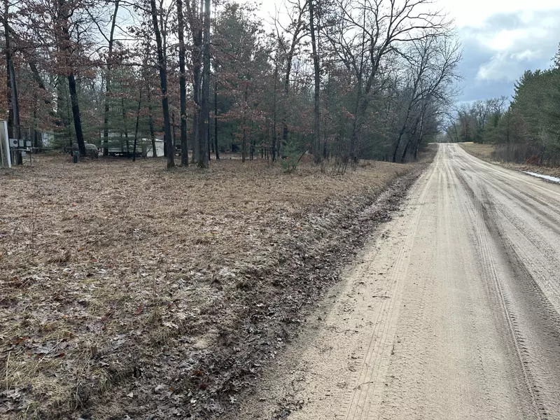 1606 S Johns Road, Baldwin, MI 49304