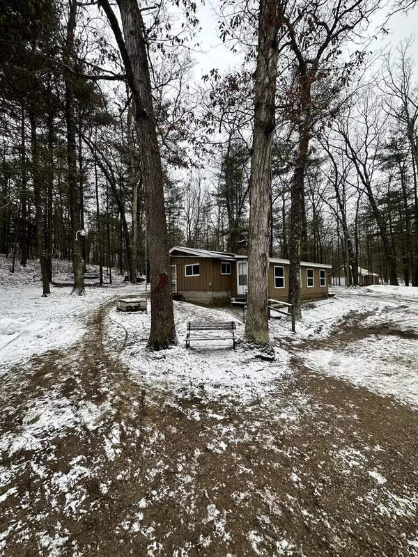 8923 W Toma Trail, Irons, MI 49644