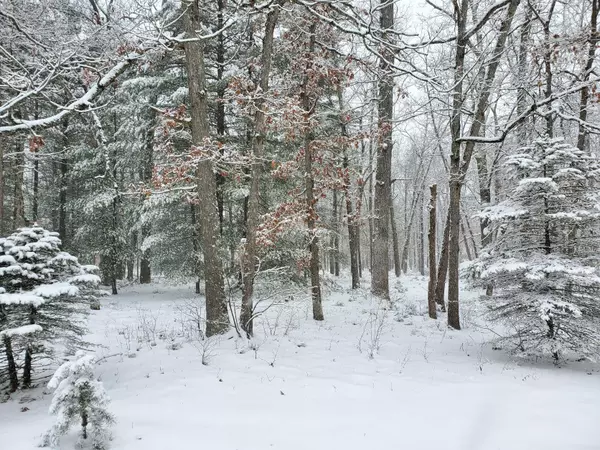 Idlewild, MI 49642,V/L Righteous