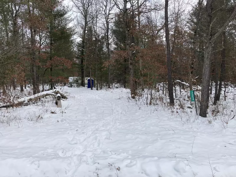 7354 S Nelson Road, Chase, MI 49623
