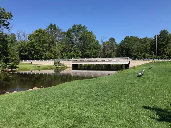 Hesperia, MI 49421,Lots 8 & 9 S Riverview Drive