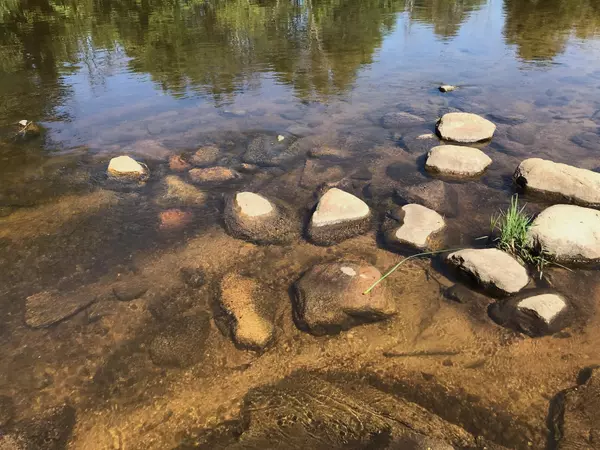 Hesperia, MI 49421,Lots 8 & 9 S Riverview Drive