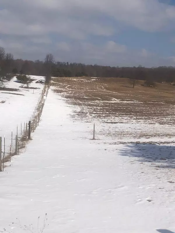 Bear Lake, MI 49614,64 Acres Alkire Rd