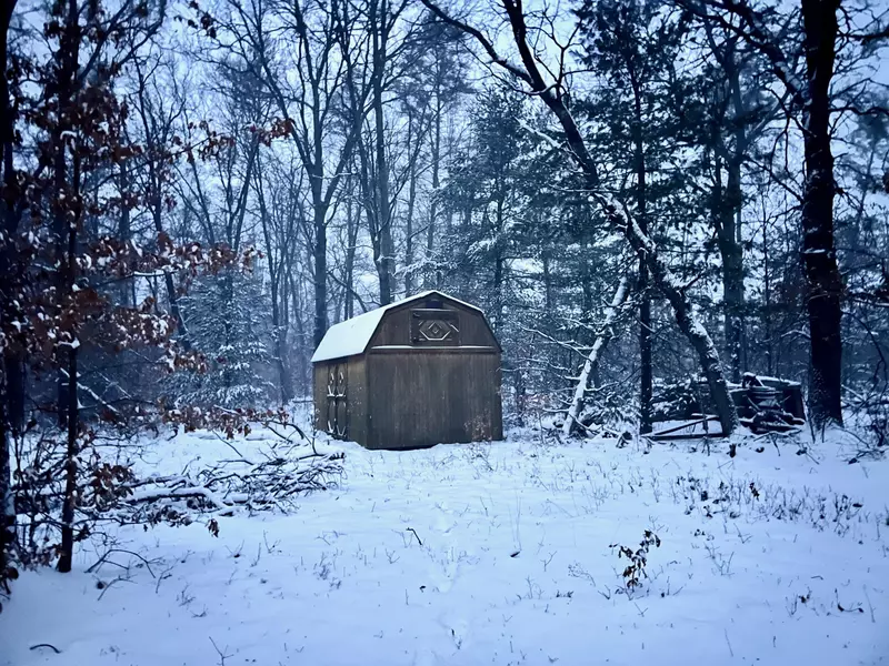 3383 S James Road, Baldwin, MI 49304