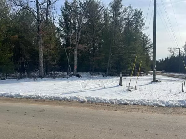 Chase, MI 49623,7078 S Nelson Road