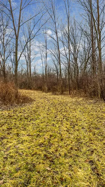 VL Baldwin Road, Bridgman, MI 49106