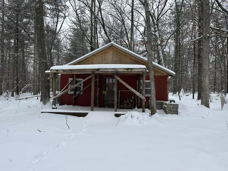 5319 W Long Drive, Baldwin, MI 49304