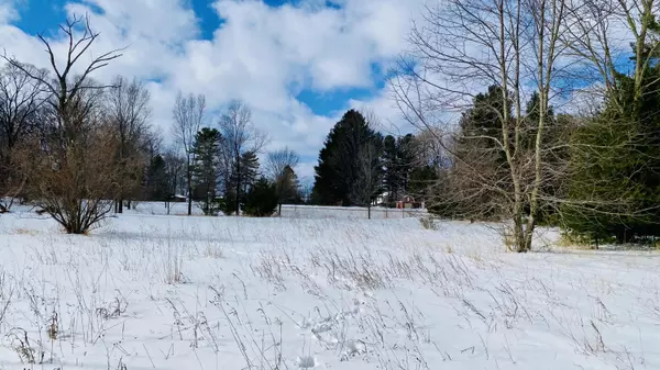 1 Acre Pleasanton Highway, Bear Lake, MI 49614