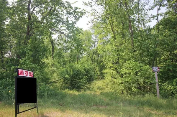 11874 Fillmore Street, West Olive, MI 49460
