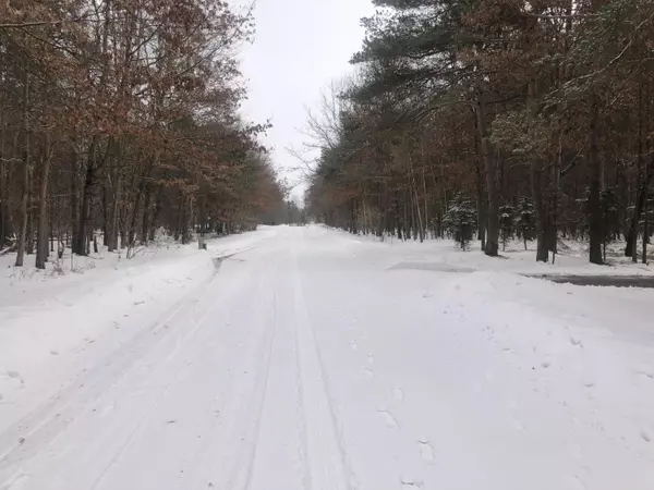 Canadian Lakes, MI 49346,10140 Hawthorn Lane