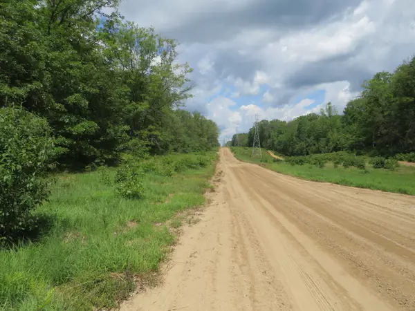 Chase, MI 49623,VL State Road