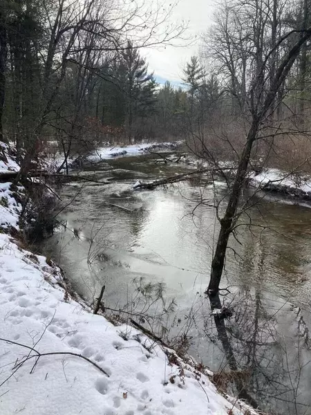 1543 W 88th Street, Baldwin, MI 49304