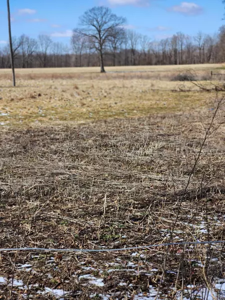 23 Mile Road, Homer, MI 49245