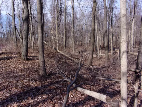 Sturgis, MI 49091,70875 Carls Road