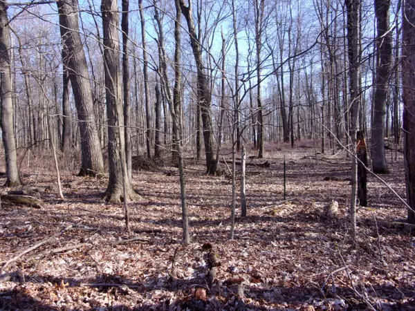 Sturgis, MI 49091,70875 Carls Road