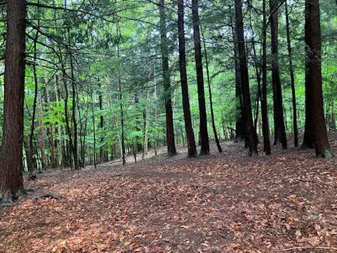 Onekama, MI 49675,3.65 ACRES Portage Point Drive