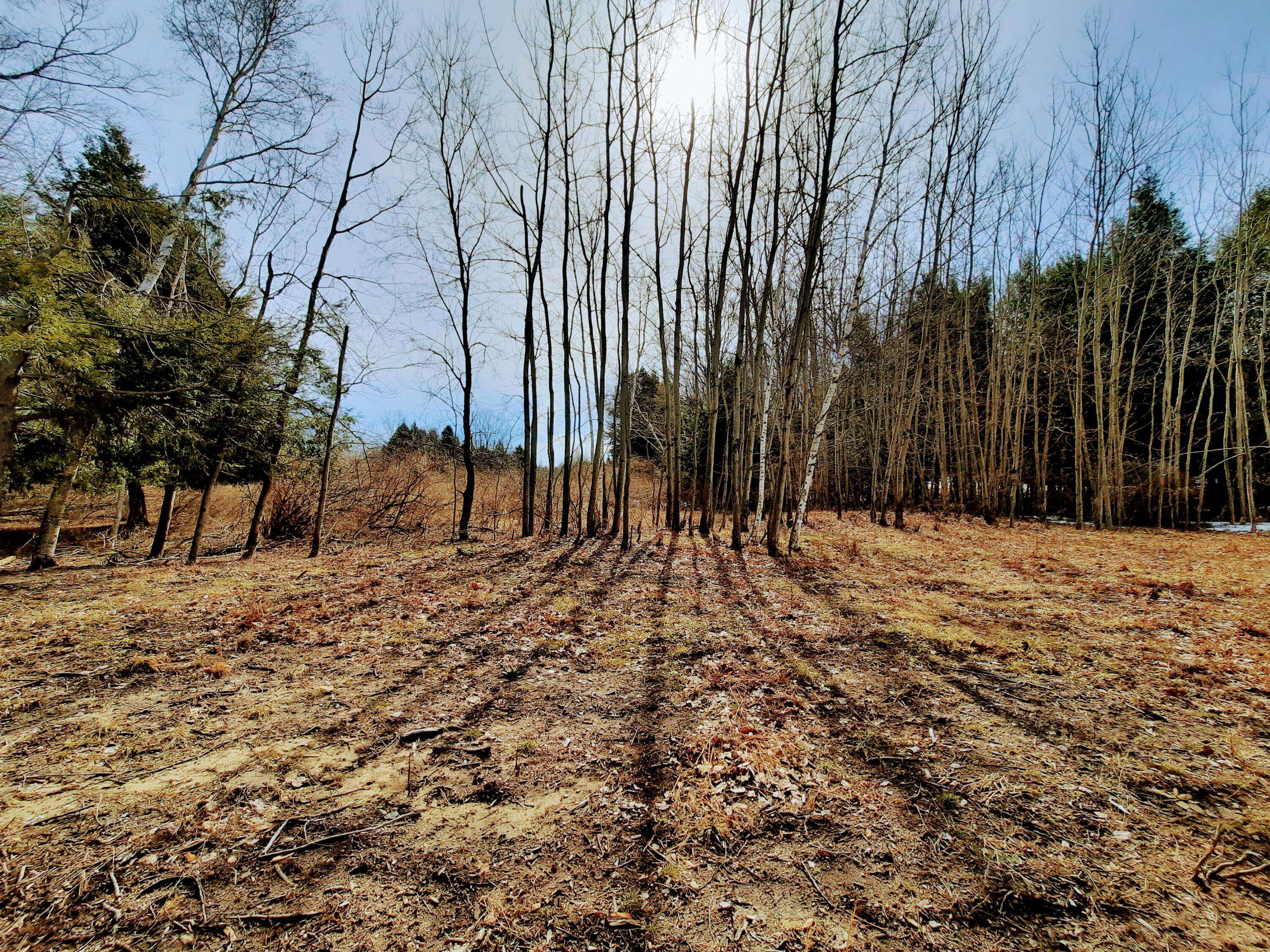 Onekama, MI 49675,Lot 47 Smith Road