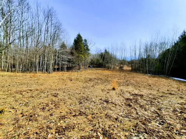 Onekama, MI 49675,Lot 47 Smith Road