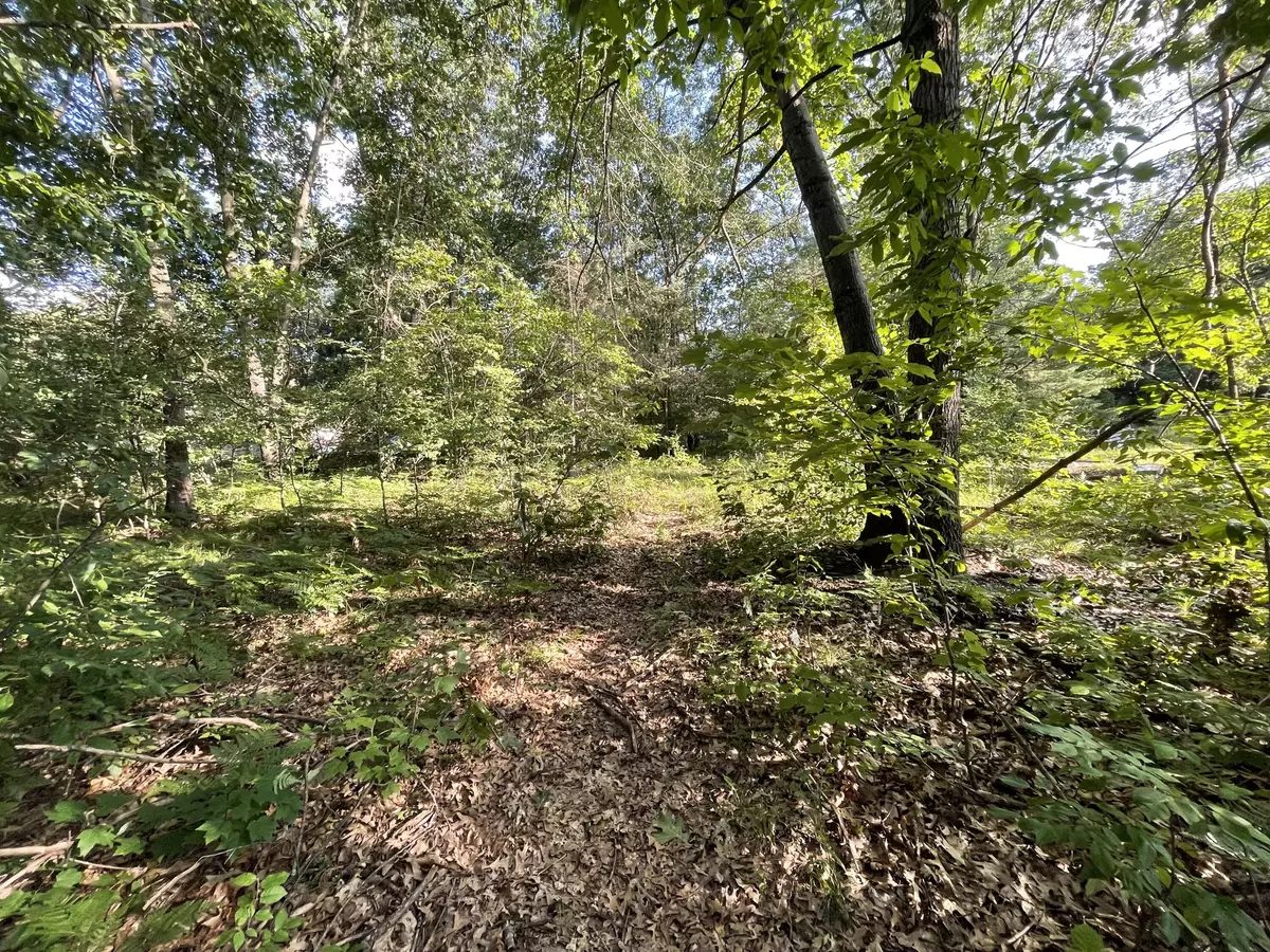 Howard City, MI 49329,0 Winona Court #Lot 293