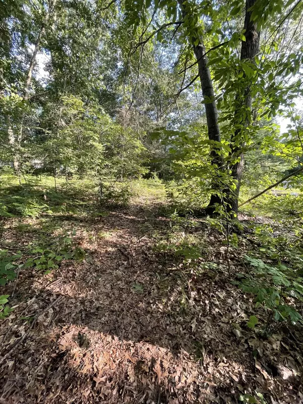 Howard City, MI 49329,0 Winona Court #Lot 293