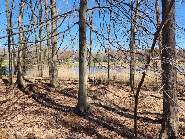 Canadian Lakes, MI 49346,9692 Fawn Lake Drive