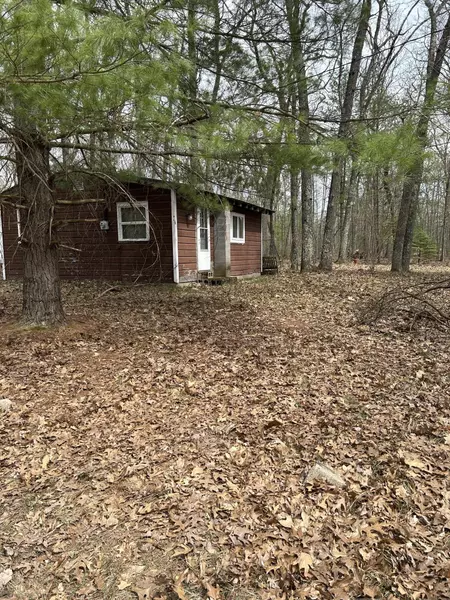 8756 W Bowling Green Blvd, Baldwin, MI 49304