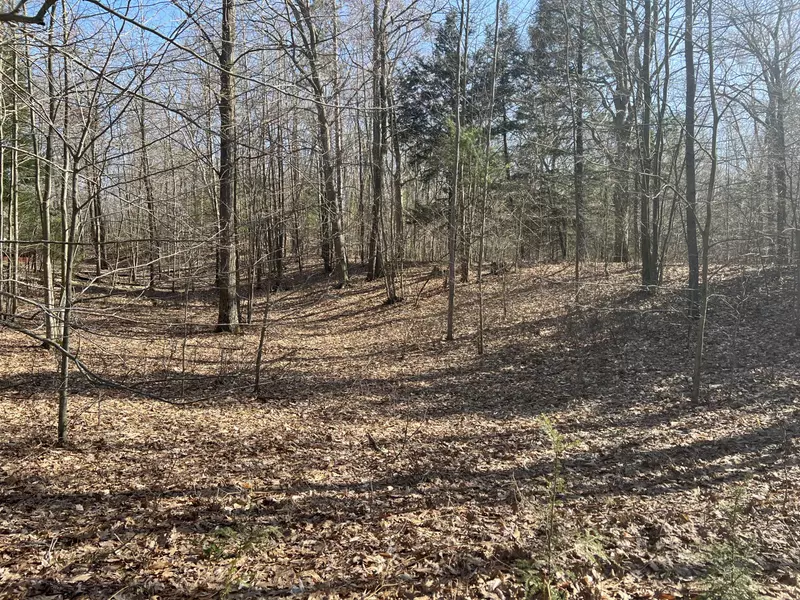 1.03 Acre Minch Avenue, Mears, MI 49436