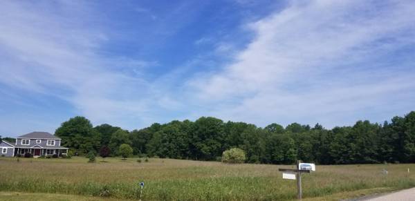 Hart, MI 49420,Lot A-1 Meadow View Lane