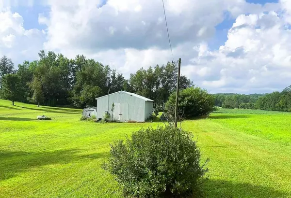 14258 Campbell Court, Jones, MI 49061