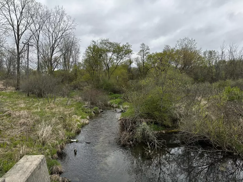 0 Wacousta Road, Fowler, MI 48835