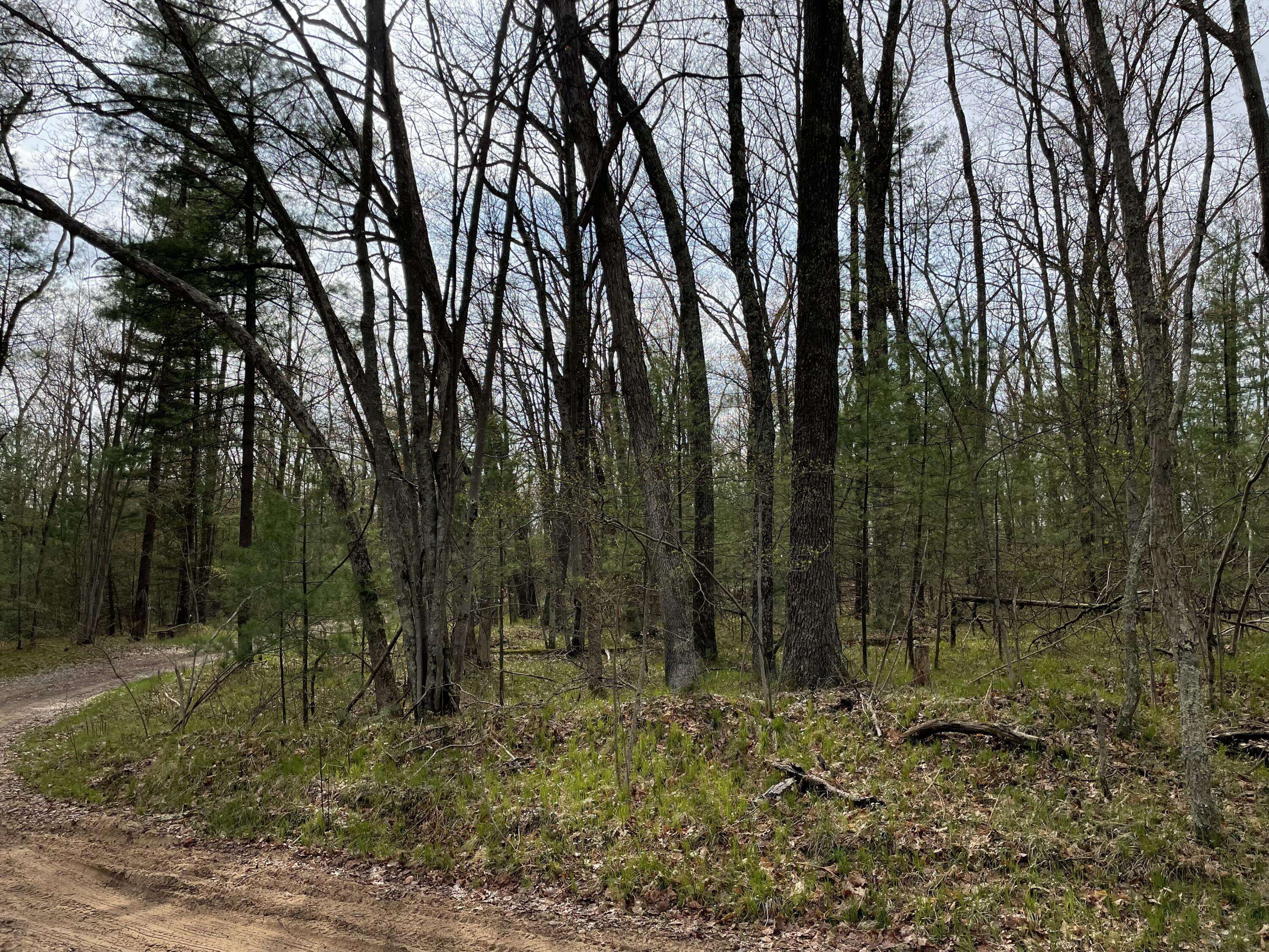 Bitely, MI 49309,0 Private Drive