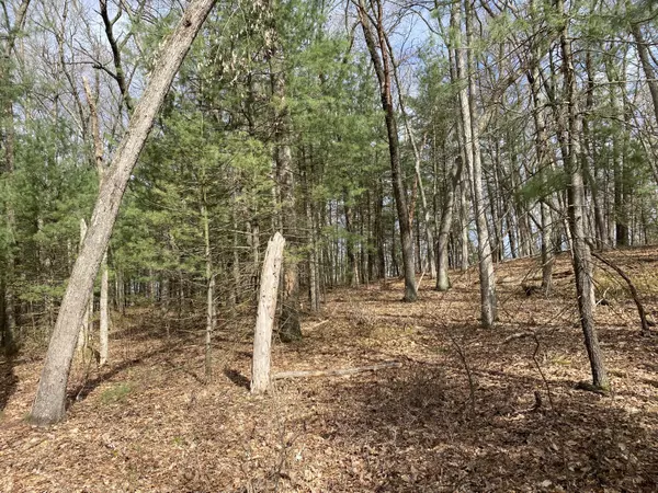 Allegan, MI 49010,V/L Wintergreen Drive #Lot 48