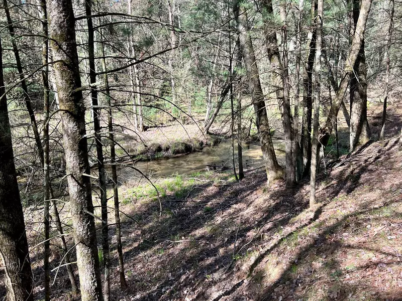 1360 E Blood Crk Trail, Idlewild, MI 49642