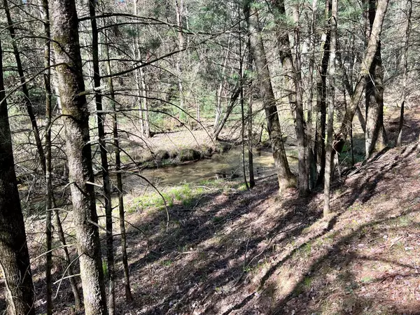 Idlewild, MI 49642,1360 E Blood Crk Trail