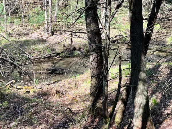 Idlewild, MI 49642,1360 E Blood Crk Trail