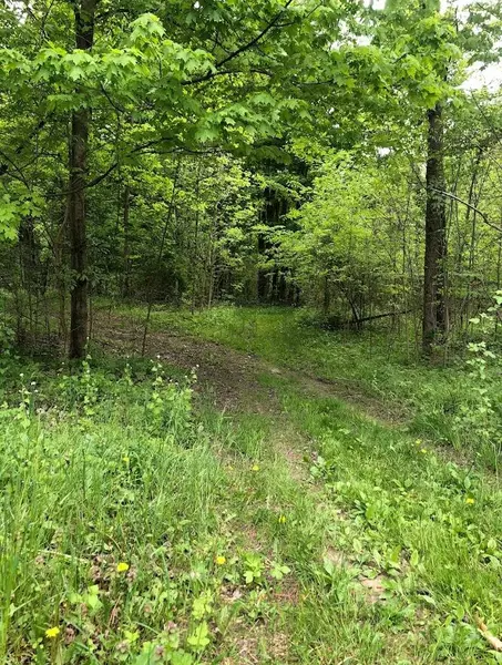 1555 123rd Avenue, Hopkins, MI 49328