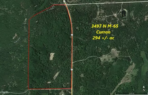 Curran, MI 48728,3497 M-65