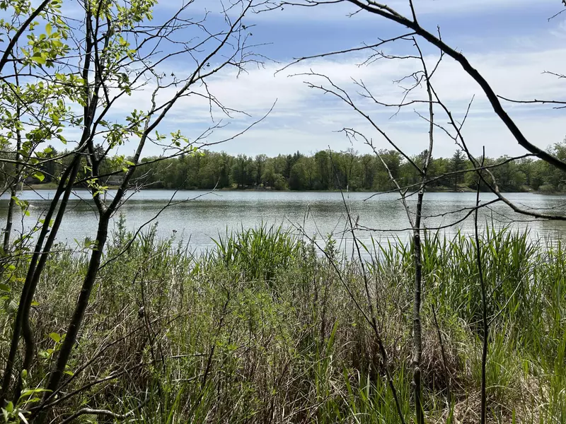 V/L Lake Drive, Idlewild, MI 49642