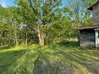 Gobles, MI 49055,29056 County Road 388