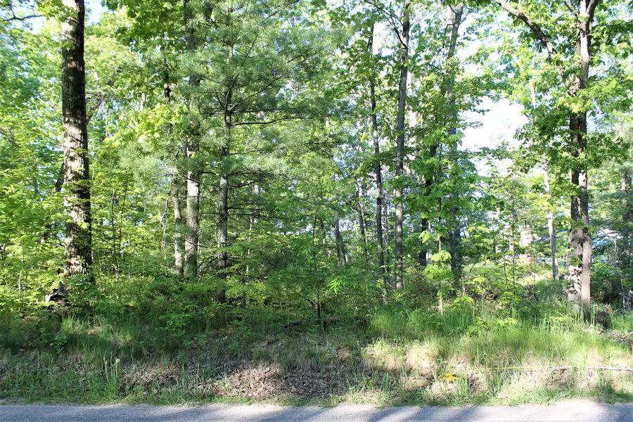 VL S Delta Place, Idlewild, MI 49642