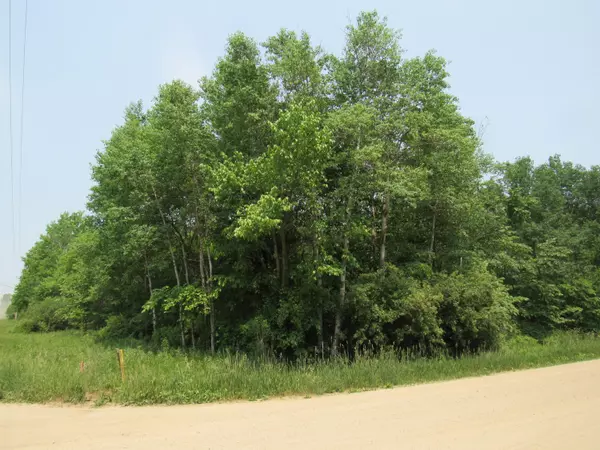 Fruitport, MI 49415,VL Jensen Road