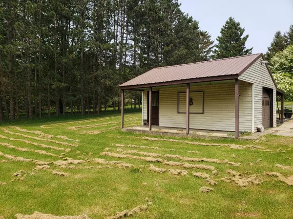 Hubbardston, MI 48845,356 Homer Street